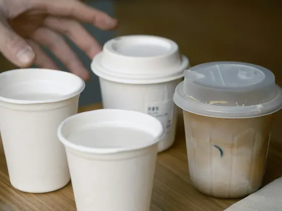 Takeaway coffee cups on a tray